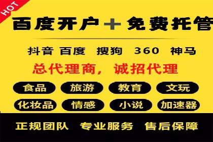 某电商平台的SEM广告投放策略及效果评估